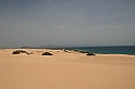 Kanary_2010 091